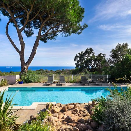 Costa Marina Leilighet Porto-Vecchio  Eksteriør bilde